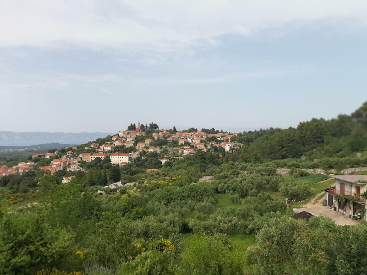 Hotel Kuca Za Odmor Dobrila à Jelsa  Extérieur photo